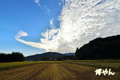 雲と田んぼ